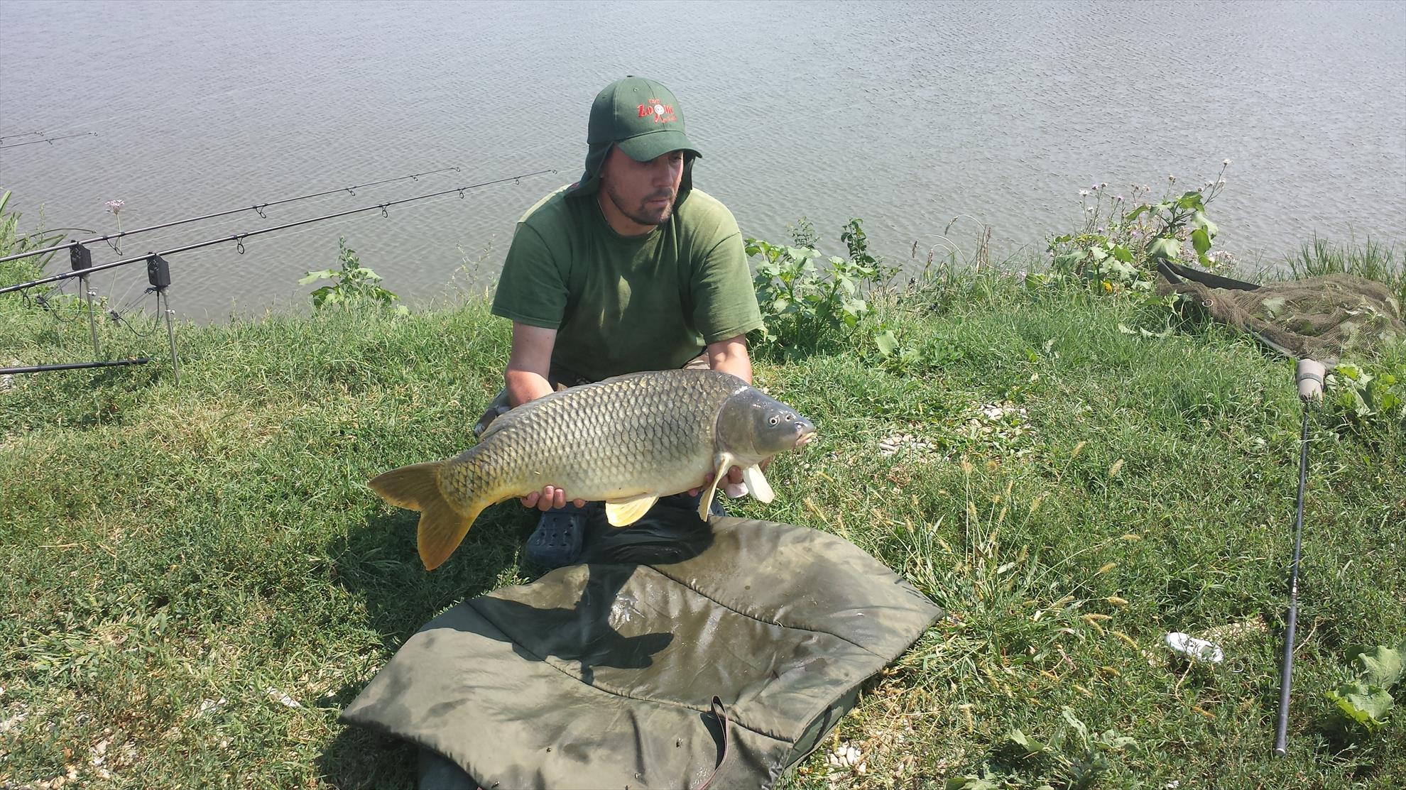 Hermes Peris 8 - 9 august 2014 - 20140809144059.jpg